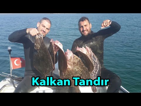 Yakala Ve Pişir Kalkan - Kalkan Tandır Nasıl Yapılır?