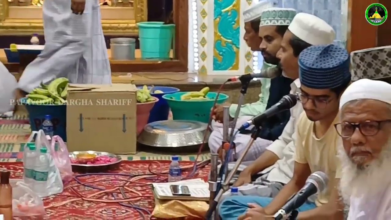 𝐏𝐀𝐏𝐀𝐕𝐎𝐎𝐑 𝐃𝐀𝐑𝐆𝐇𝐀  𝐌𝐚𝐰𝐥𝐢𝐝 𝐌𝐚𝐣𝐥𝐢𝐬