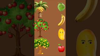 কোন গাছের ফল কোনটি।#shorts #animation #cartoonvideo #banglacartoon
