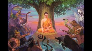 [Talk Gnosis] Dark Side of Meditation w/Anna Lutkajtis Profile
