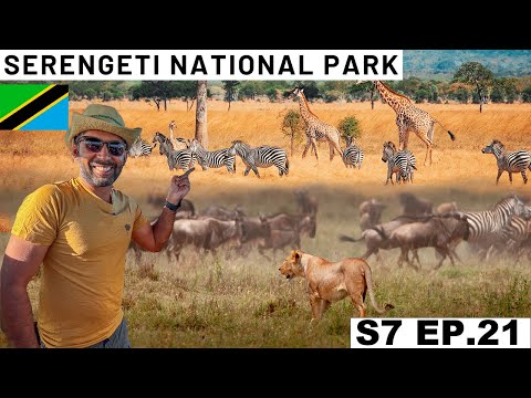 Video: Kako se odpraviti na safari v Tanzaniji