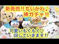 Chiikawa The Latest Chiikawa Everyone S Munching Party 3 Gacha All Of Them Are Waiting For Th Chiikawa The Latest Chiikawa Everyone S Munching Party 3 Gacha All Of Them Are Waiting For Th