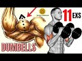 11 BEST BICEPS EXERCISES AT HOME WITH DUMBELLS ONLY / SUPER EXERCISES MUSCULATION BICEPS HALTERES