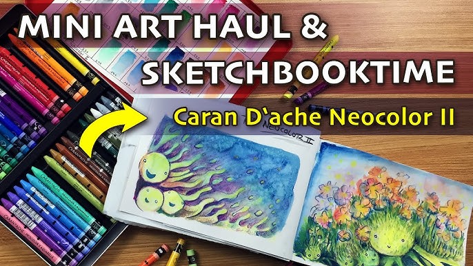 Are Caran D'Ache Worth It? Review Neocolor II Water Soluble Crayons &  Speedpaint a Tortoise w/Me! 