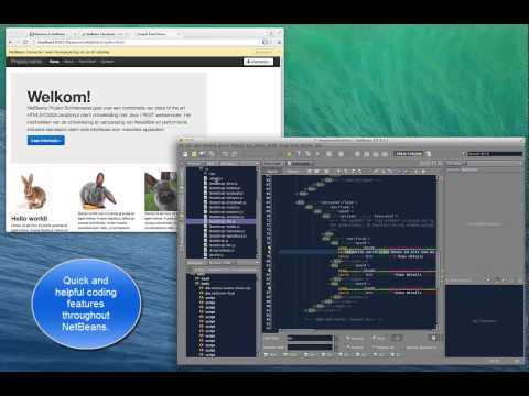 Being Productive with HTML, JavaScript, and CSS