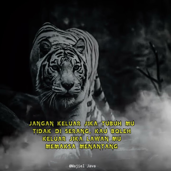 Story Wa Macan Putih | Prabu Siliwangi (Terbaru)