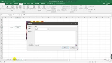 在Excel中輸入姓名，對應照片立馬顯示出來