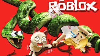 ดาวนโหลดเพลง Roblox อยาดนซอาบนำกนนะเหมยว หรอฟง - bunny fufu roblox