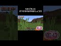 反面教師(?)#マイクラ