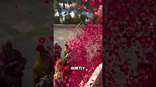 She Turned Simple Sari Into A Beautiful Art Piece 