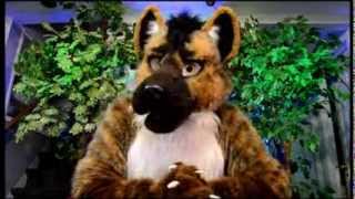 Zeke Hyena's How Not 2 Basic (Uncensored version)