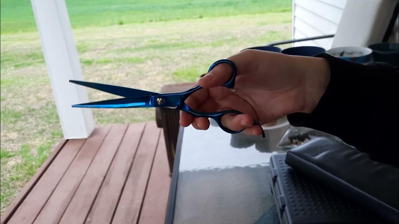 Proper Scissor Holding Unit C YouTube