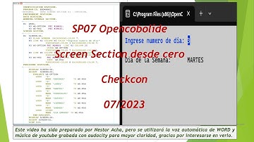 SP07 OPENCOBOLIDE Screen Section desde cero Checkcon