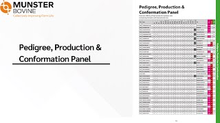 Pedigree, Production & Conformation Panel - Spring Dairy Catalogue 2026
