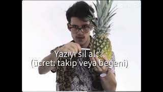 elma kalem ananas kalem