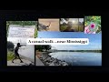 A casual walk near Mississippi | Skipper Sculpture | US Malayalam Vlog | Sreedevi Nair
