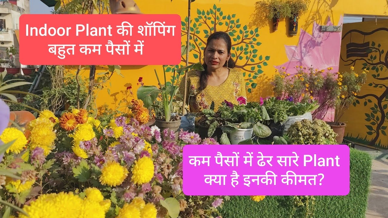 Low price plant shopping 2026|| Indoor and Flower plant shopping|| कम दाम में ढेर सारी खरीदारी