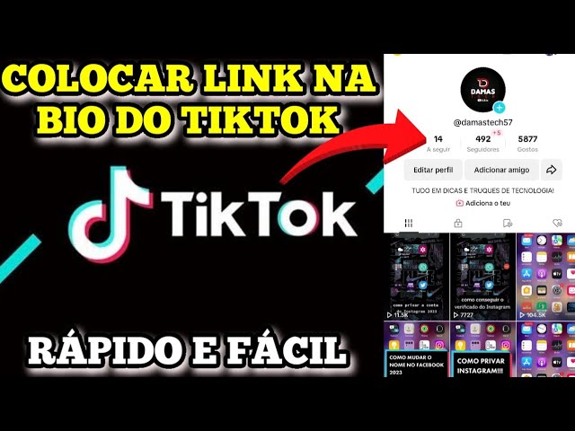 como ponerte el verificado ff｜Pesquisa do TikTok