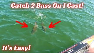daiwa acculite salmon steelhead spinning fishing rod brown model 862mfb RODS HVF HVF (High Volume sap_subseries:penn fathom low profile Avet HXW Raptor Plus Pound Test:100 lb