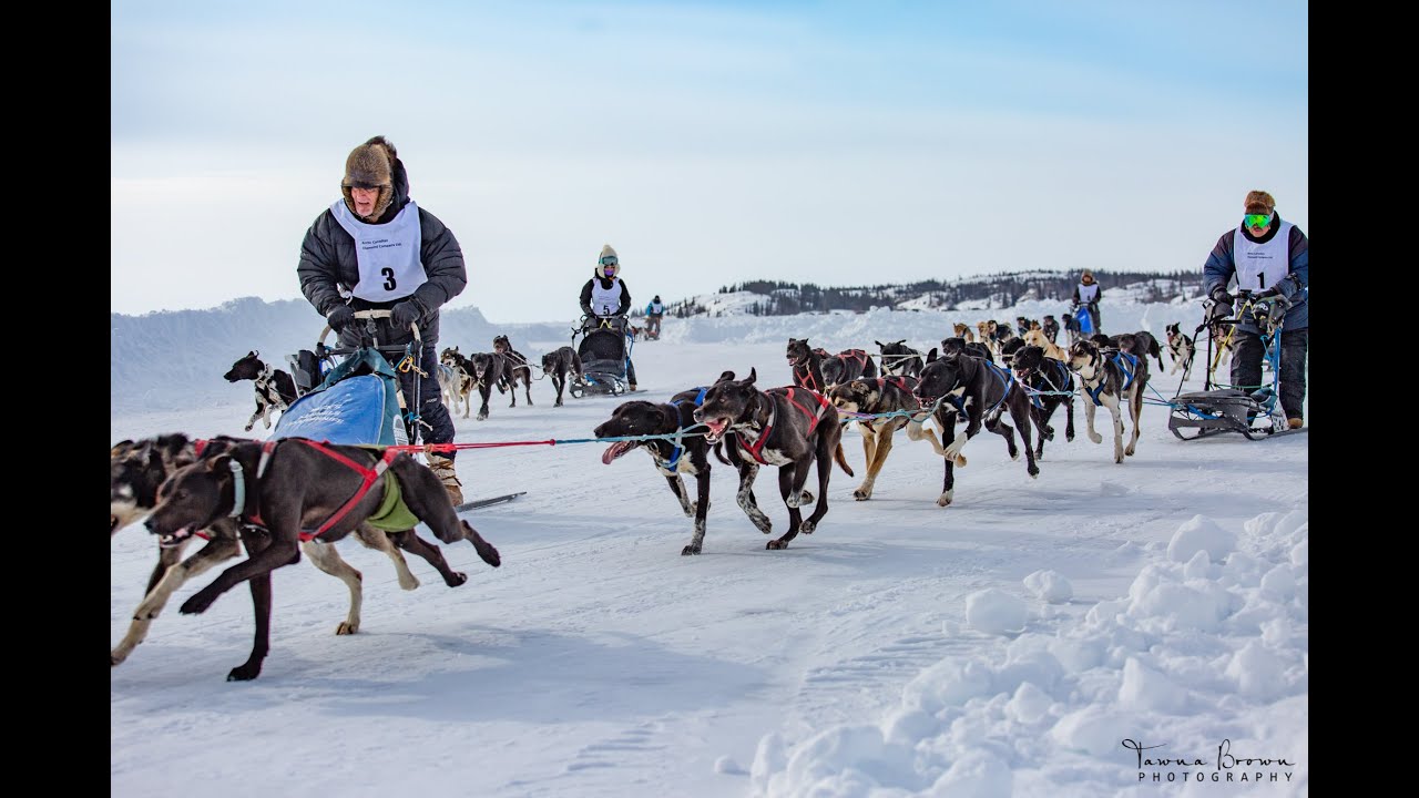 Canadian Championship Dog Derby 2021 Sled Dog Races in Yellowknife