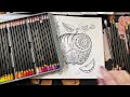 Rita Berman | Chromaflow pencils