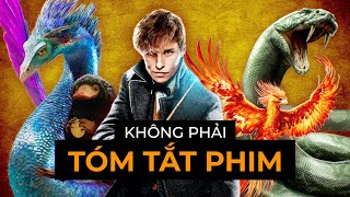 TẤT TẦN TẬT 47 SINH VẬT HUYỀN BÍ TRONG FANTASTIC BEASTS