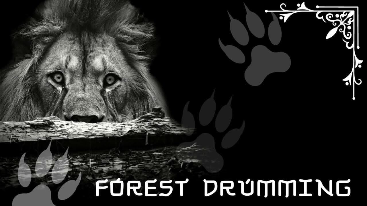 FOREST DRUMMING • Shamanic Drums • Activate Your Higher Mind • Journey for Trance & Meditation FOREST DRUMMING • Shamanic Drums • Activate Your Higher Mind • Journey for Trance & Meditation