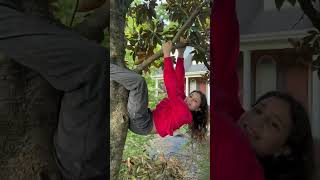 She Got Stuck In A Tree Then This Happened