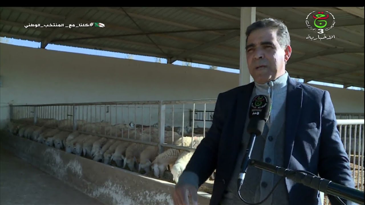 تيارت / استثمارات فلاحية واعدة