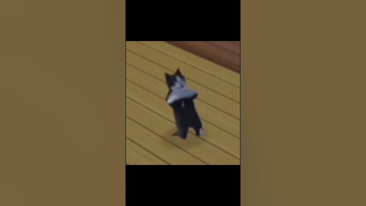 кот флексит? - YouTube