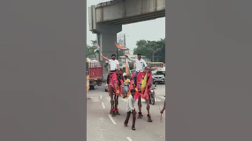 Tringa Yatra On Independence Day 2025 त र ग य त र Camel Ride In Greater Noida 