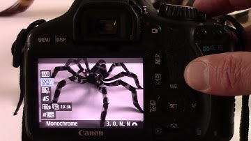 Filming using the the Canon EOS 550d/EOS Rebel T2i / EOS Kiss X4 DSLR - Steve Pidd