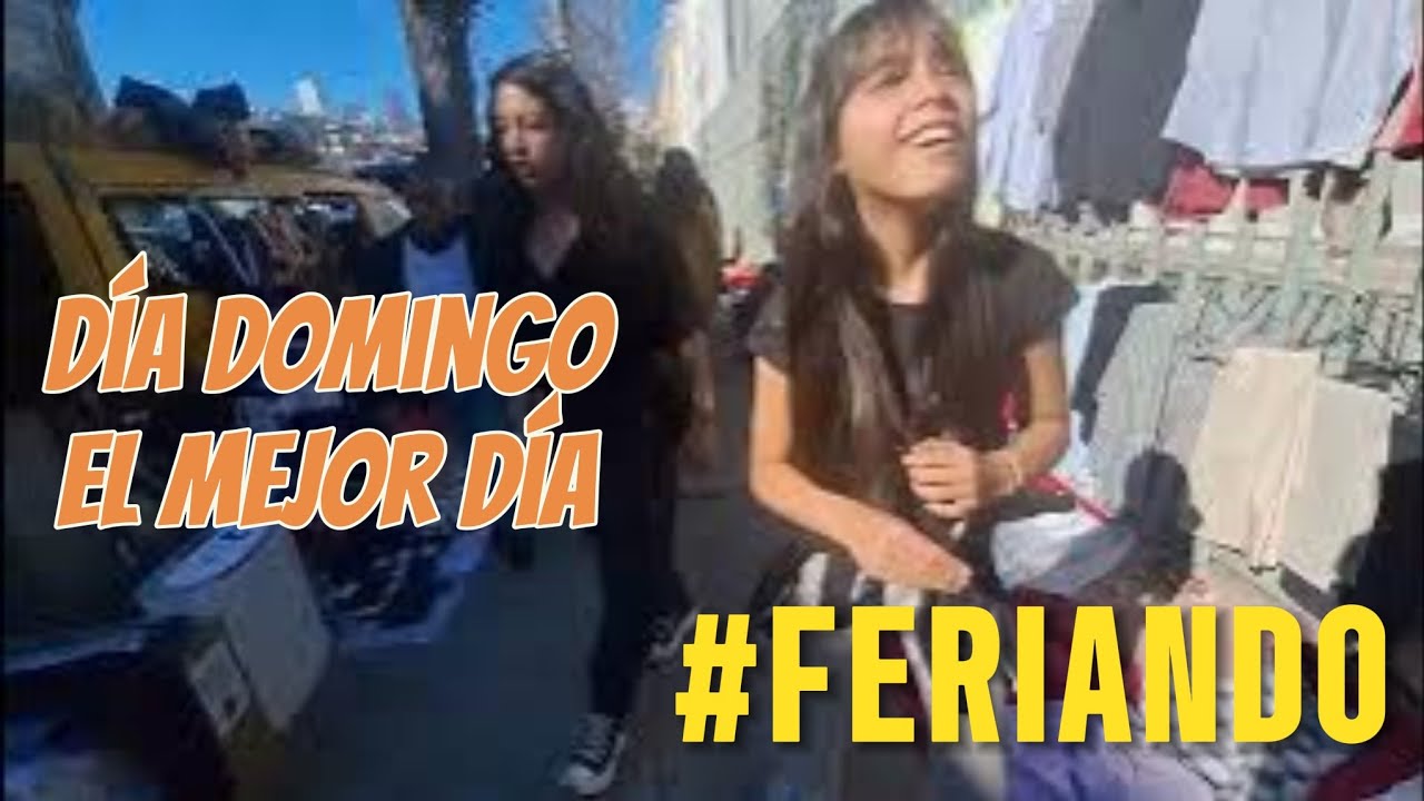 FERIA DE AVENIDA ARGENTINA DE VALPARAISO EN DIA DOMINGO