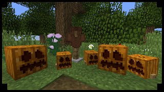 ✪Minecraft: How to make a pumpkin patch (Small/Large Pumpkins)