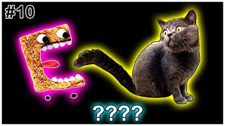 6 Cinnamon Toast Crunch Vs Cats Part 10 Sound Variations In 60 Seconds