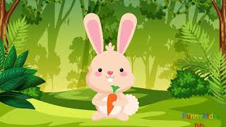 Los Conejoscuriosidades De Los Conejos Videos Para Niños Videos Educativos