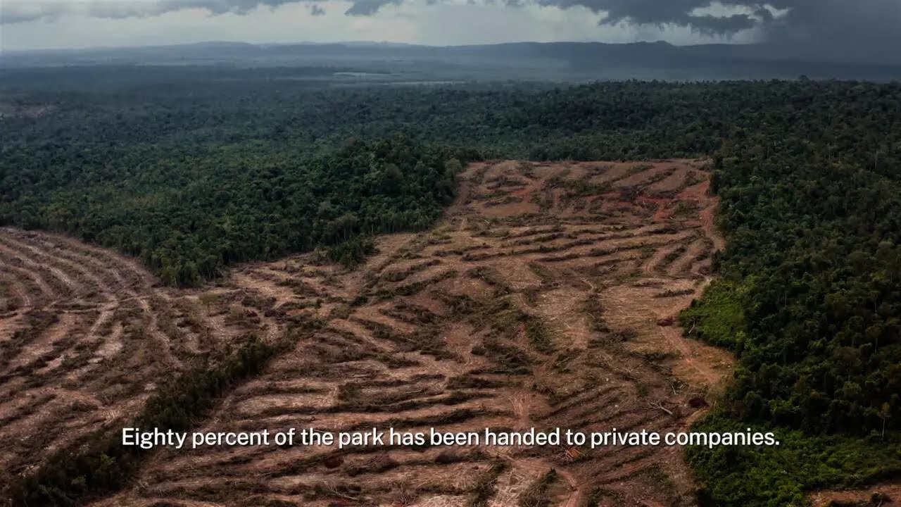 ភាពយន្តឯកសារស្តីពីការតស៊ូរបស់សកម្មជនបរិស្ថាននៅកម្ពុជាបានឈ្នះពានរង្វាន់ «ពន្លឺបៃតង»