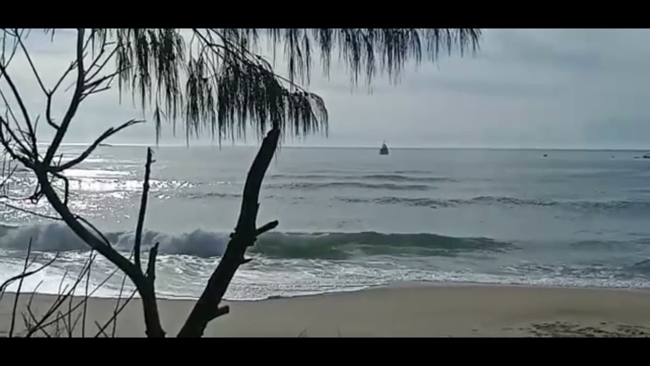 Vídeo Boletim OndasdoSul Moçambique SC  @shorelinesurfskate