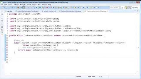 Spring Security 21   Custom Authentication Object