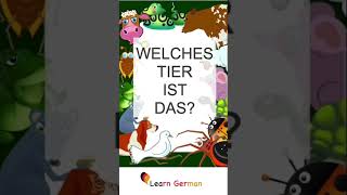 Welches Tier ist das? | Which animal is this? | #septemberspecial | #shorts | #learngerman screenshot 4