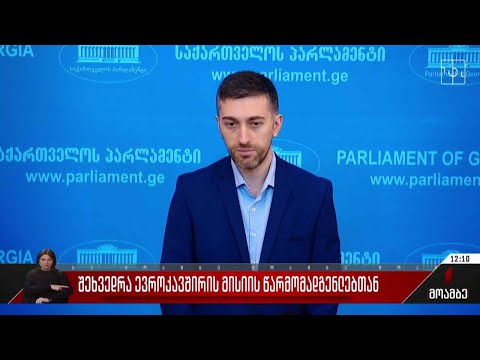 შეხვედრა ევროკავშირის მისიის წარმომადგენლებთან