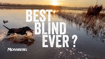 Best Duck Blind Ever? | Duck Hunting