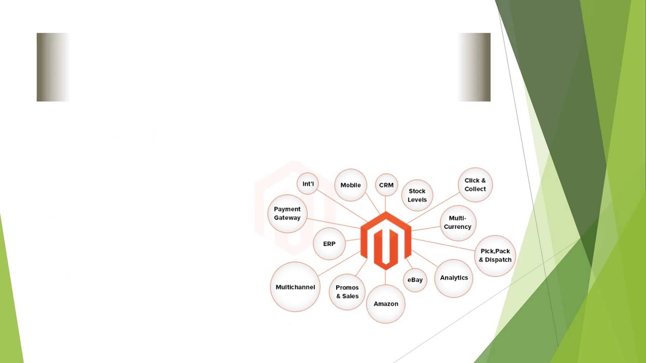 Web Design and Development Company in India