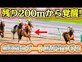 スタミナだけを鍛えたダート馬が最後の直線でありえないノビを見せた件【新・ロマン牧場5】
