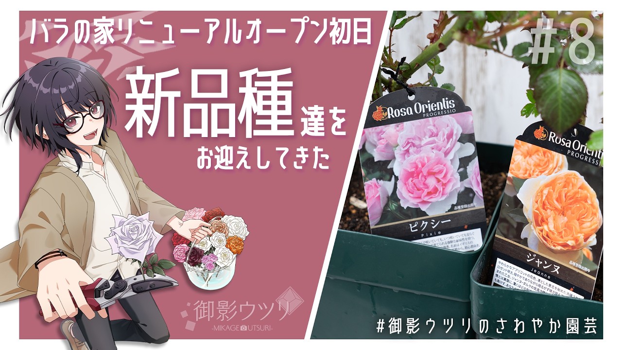 Rose Cultivation #8] I went to the Rose House on its opening day