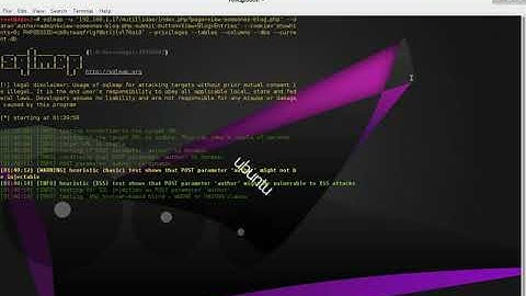 10 BurpSuite: C02 extesion - SQLMap GUI