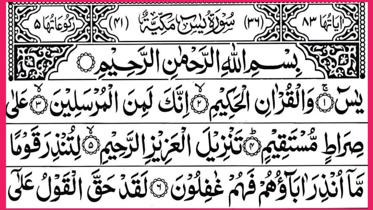 Surah Yaseen❤️Surah Yasin❤️Surah Rahman❤️Surah mulk❤️ Surah Muzammil❤️Surah Kahf❤️Yasin Quran