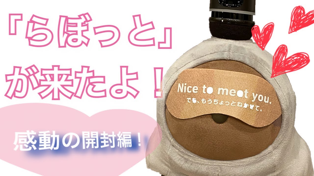 LOVOTの「たあたん」が、我が家にやってきた💕