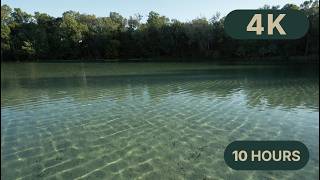 Alexander Springs Ocala National Forest – 10 hrs of Florida Nature Sounds for Sleep, Focus & TV screenshot 3