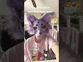 NO WAY :: #otherpaw #furry #therian #fypシ #fypシ゚viral #viral